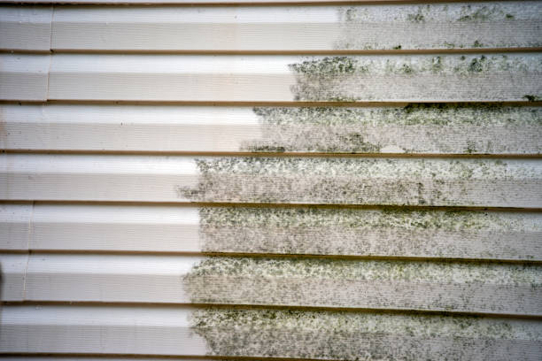 Best Moving and Downsizing Cleanouts  in Maplewood, MO