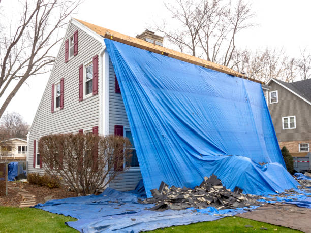 Best Same-Day Junk Removal Services  in Maplewood, MO